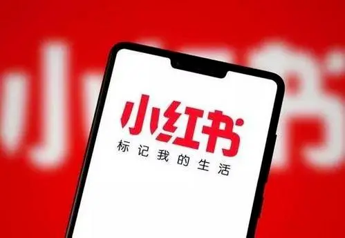 小红书商单变现：一天涨粉3000+，光复制粘贴一天收益700+-热门分享生财-分享-生财
