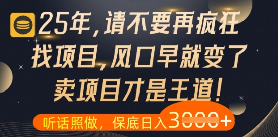 什么？25年你还在疯狂找项目做，醒醒吧，看完这些你全都懂了【揭秘】-生财