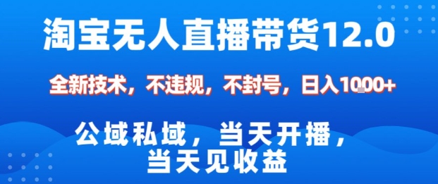 淘宝无人直播12.0,公域私域技术,不封号,不违规布局双十一流量风口,日入1k(独家技术)【揭秘】-生财