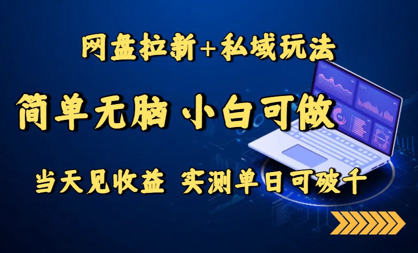 网盘拉新+私域玩法，简单无脑，小白可做，当天见收益，实测单日可破千-生财