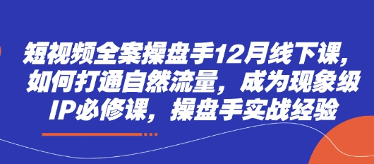 短视频全案操盘手12月线下课，如何打通自然流量，成为现象级IP必修课，操盘手实战经验-生财