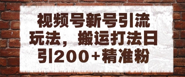 视频号新号引流玩法，搬运打法日引200+精准粉，可矩阵放大【揭秘】-生财