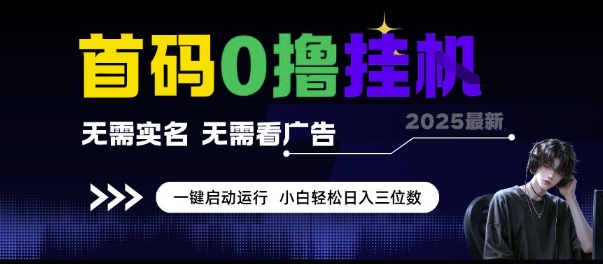 首码0撸挂G项目，无需实名无需看广告 一键启动运行，小白轻松日入三位数【揭秘】-生财