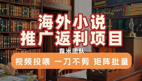 海外小说推广返利项目，视频投喂， 一刀不剪，矩阵批量-生财