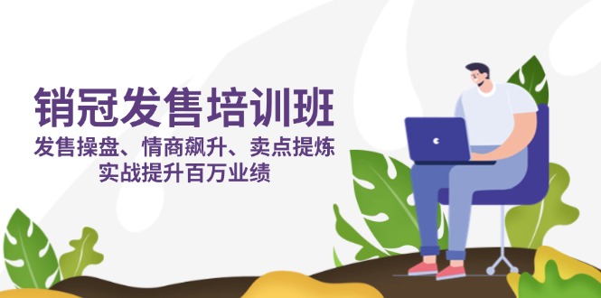 销冠 发售培训班：发售 操盘+情商 飙升+卖点 提炼，实战提升百万业绩-生财