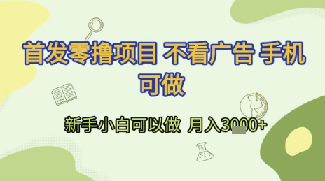 首发零撸项目 不看广告 手机可做 新手小白可以做  月入3k+【揭秘】-生财