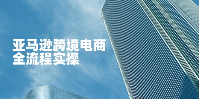 亚马逊跨境电商全流程实操，教你从零开始，掌握店铺运营与广告技巧-生财