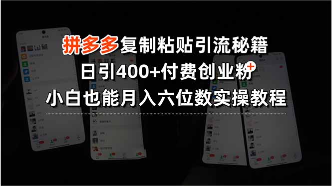 拼多多复制粘贴引流秘籍，日引400+付费创业粉，小白也能月入六位数实操...-生财