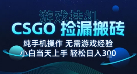 8月最新游戏搬砖，CSGO纯挂G，不需要玩游戏，实现真挂G，月入1W+【揭秘】-生财