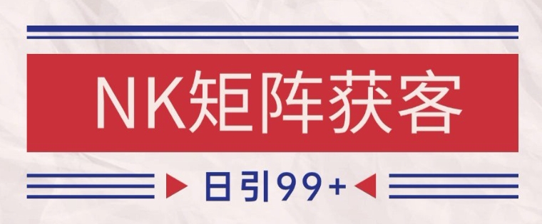 小红书某音NK赛道引流获客 自热矩阵日引200+【揭秘】-生财