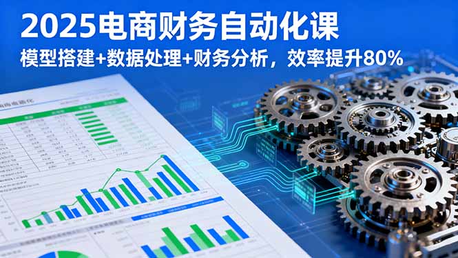 2025电商财务自动化课，模型搭建+数据处理+财务分析，效率提升80%-生财