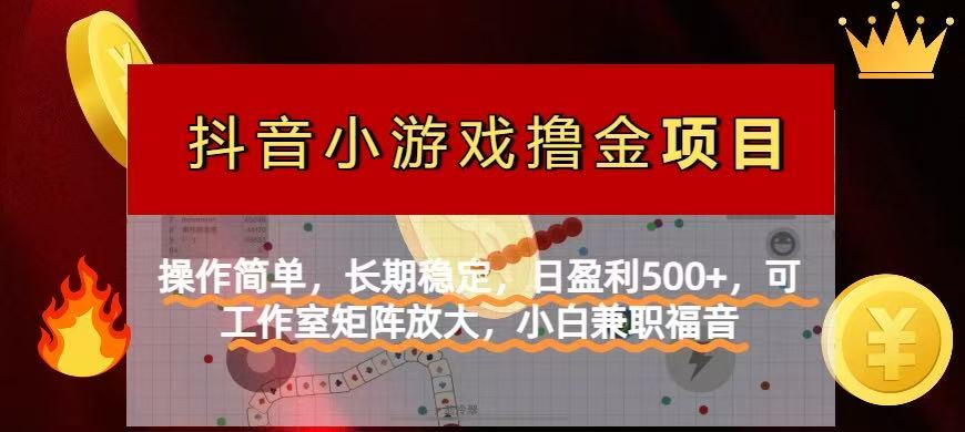 【抖音小游戏发行人计划项目】操作简单,长期稳定,日盈利500+,可工作...-生财