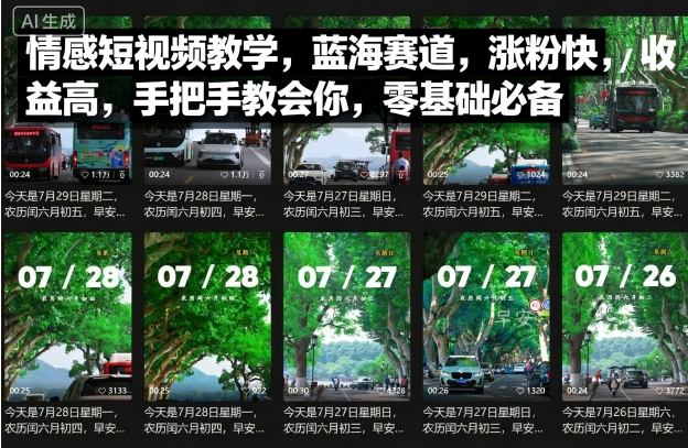 情感短视频教学，蓝海赛道，涨粉快，收益高，手把手教会你，零基础必备-生财