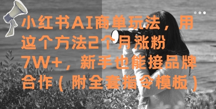 小红书AI商单玩法，用这个方法2个月涨粉7W+，新手也能接品牌合作(附全套指令模板)-生财
