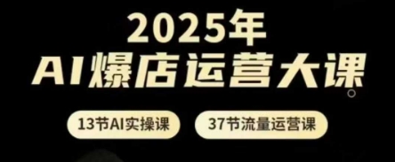 2025年AI爆店运营大课，13节AI实操课+37节流量运营课-生财