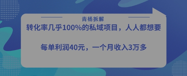 转化率最高的私域项目，每单利润40-50米，月入过1w-生财