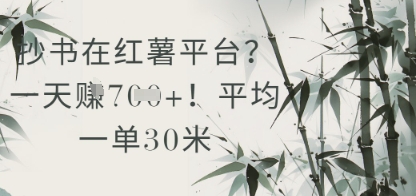 抄书在小红薯平台？平均一单30米，一天收益几张！-生财