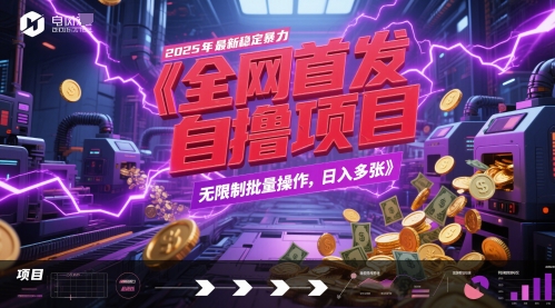 全网首发，2025年最新稳定暴力全自动自撸项目，无限制批量操作，日入多张【揭秘】-生财