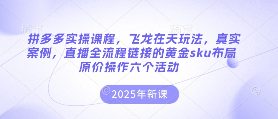 拼多多实操课程，飞龙在天玩法，真实案例，直播全流程链接的黄金sku布局原价操作六个活动-生财