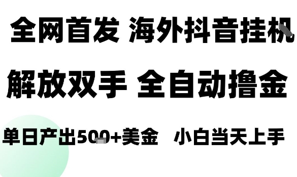 海外抖音无人直播,单日产出1.5k+,长期稳定,新手可玩,无脑操作【揭秘】-生财