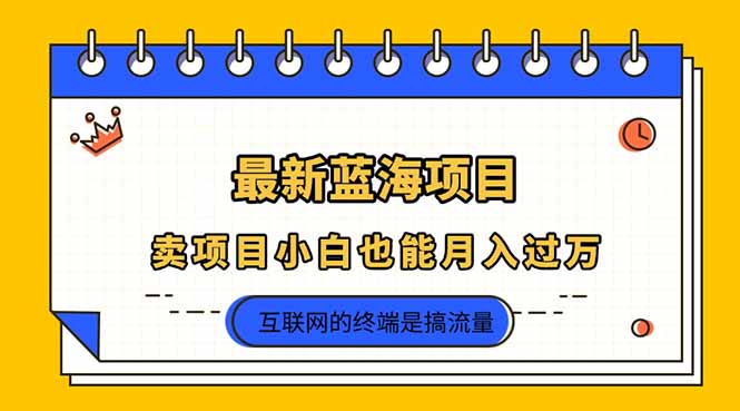 2025年最新蓝海项目，卖项目小白也能月入过万-生财