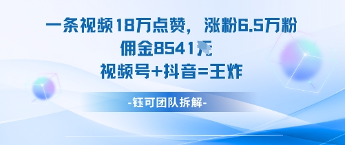 一条视频18W点赞,涨粉6.5W粉佣金8541米,视频号+抖音=王炸-生财