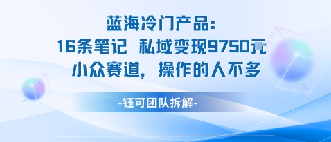 蓝海项目：16条笔记私域变现9750米小众赛道操作的人不多-生财