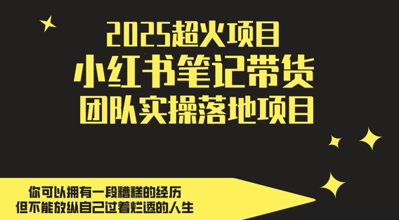 2025超火项目，副业最佳选择，小红书笔记带货团队实操落地项目，，轻松日入5张-生财