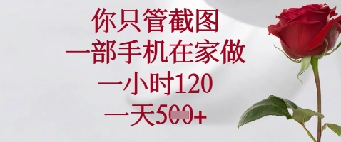 你只管截图，一部手机在家做，苹果安卓都可以，一小时120，一天5张+【揭秘】-生财