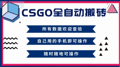CSGO全自动搬砖，年底钱回家好项目，当天可拿到结果，新手小白轻松月入1W+【揭秘】-生财