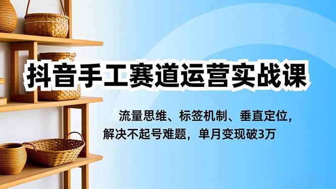 抖音手工赛道运营实战课，流量思维、标签机制、垂直定位，解决不起号难题，单月变现破3万-生财