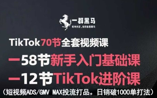 TikTok全套视频课，新手入门+进阶课，短视频ADS-GMV MAX投流打品，日销破1000单打法-生财