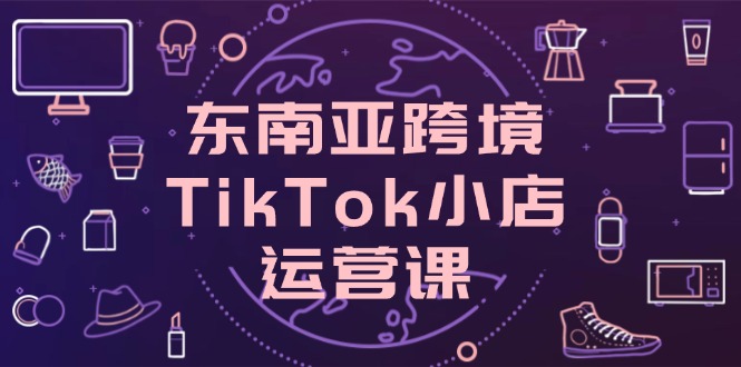 东南亚跨境TikTok小店运营课，掌握店铺设置与流量转化核心技巧-生财