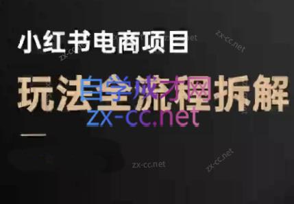 菲菲老师·小红书电商玩法(更新7月)-生财