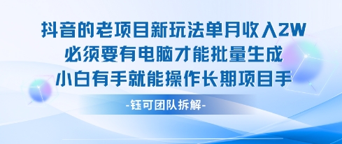 老项目新玩法单月收入2W小白有手就能操作长期项目-生财