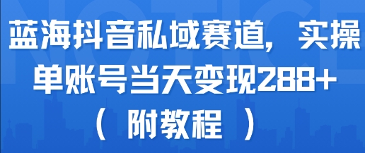 蓝海抖音私域赛道，实操单账号当天变现288+(附教程)-生财