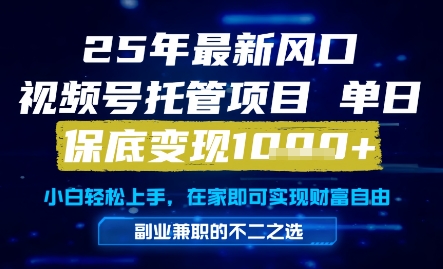 25年最新风口,视频号托管项目,单日保底变现1k+,手把手教学【揭秘】-生财