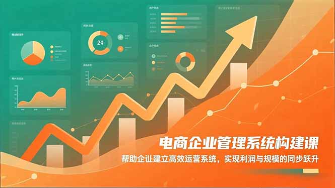 电商企业管理系统构建课：帮助企业建立高效运营系统，实现利润与规模的同步跃升-生财