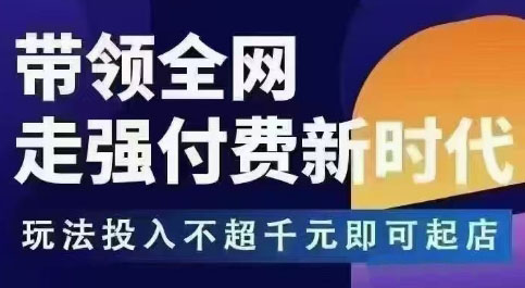 王校长·万金油强付费玩法(更新9月)-生财