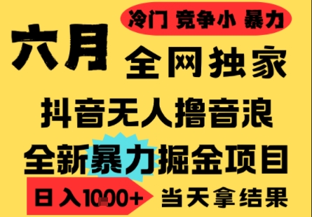 25年6月高爆抖音无人直播最新撸音浪掘金项目，小白可做，无脑日入1k+，门槛低可批量矩阵【揭秘】-生财