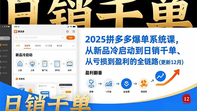 2025拼多多爆单系统课，从新品冷启动到日销千单、从亏损到盈利的全链路(更新12月-生财