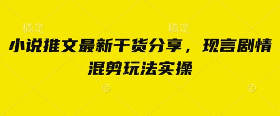 小说推文最新干货分享，现言剧情混剪玩法实操-生财