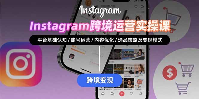 Instagram跨境运营实战:平台认知/账号运营/内容优化/选品策略及变现模式-生财