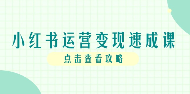 小红书运营变现速成课，账号搭建到暴力起号，个人IP全流程指南-生财