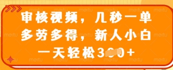 审核视频，几秒一单，多劳多得，新人小白一天轻松3张【揭秘】-生财