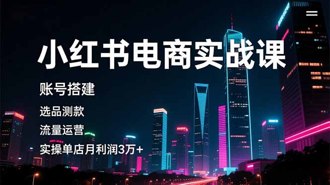 小红书电商实战课，账号搭建，选品测款，流量运营，实操月利润3万+-生财