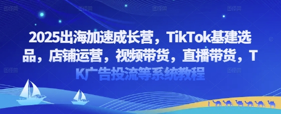 2025出海加速成长营，TikTok基建选品，店铺运营，视频带货，直播带货，TK广告投流等系统教程-生财
