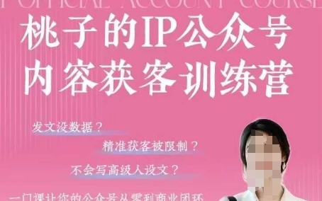 桃子IP公众号内容获客训练营(第3期),一门让你公众号从0到商业闭环的课程-生财