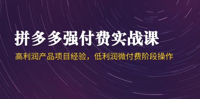 拼多多强付费实战课-44期，高利润产品项目经验，低利润微付费阶段操作-生财