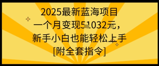 2025最新蓝海项目一个月变现1w+新手小白也能轻松上手【附全套指令】-生财